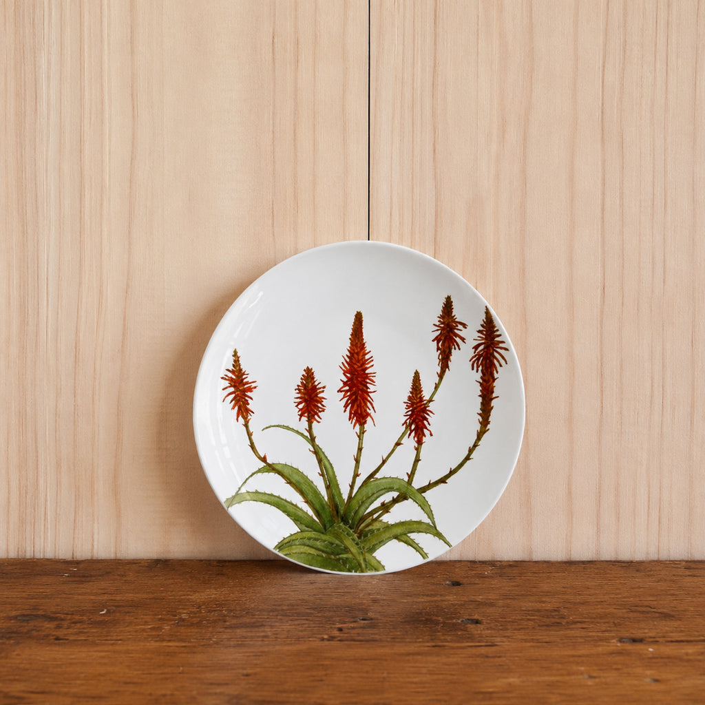 Plato Aloe Rojo 20cm