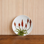 Plato Aloe Rojo 20cm