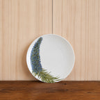 Plato Equium 20cm