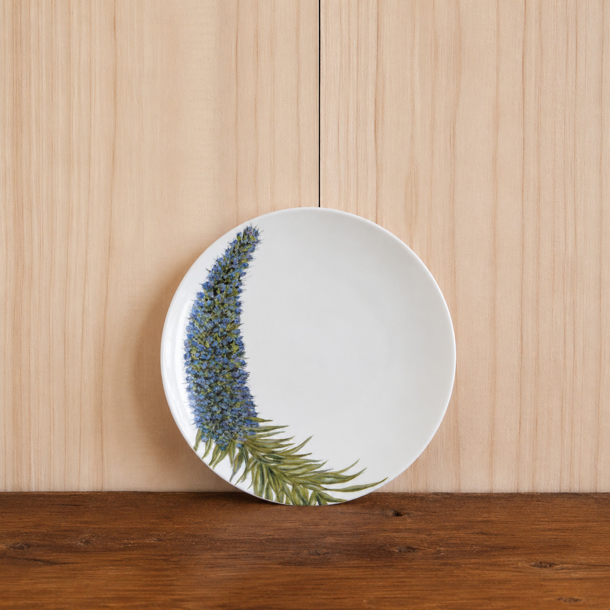 Plato Equium 20cm