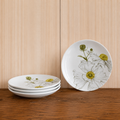 Plato Romneya 20cm
