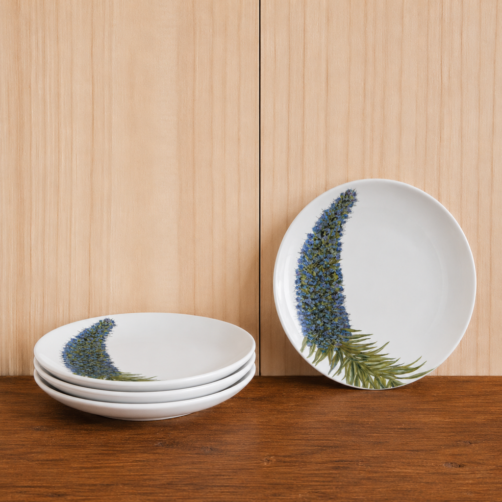 Plato Equium 20cm