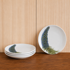 Plato Equium 20cm