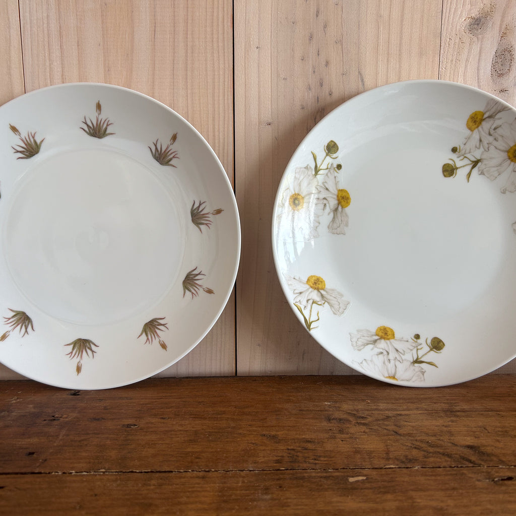 Plato Fondo Romneya 26cm