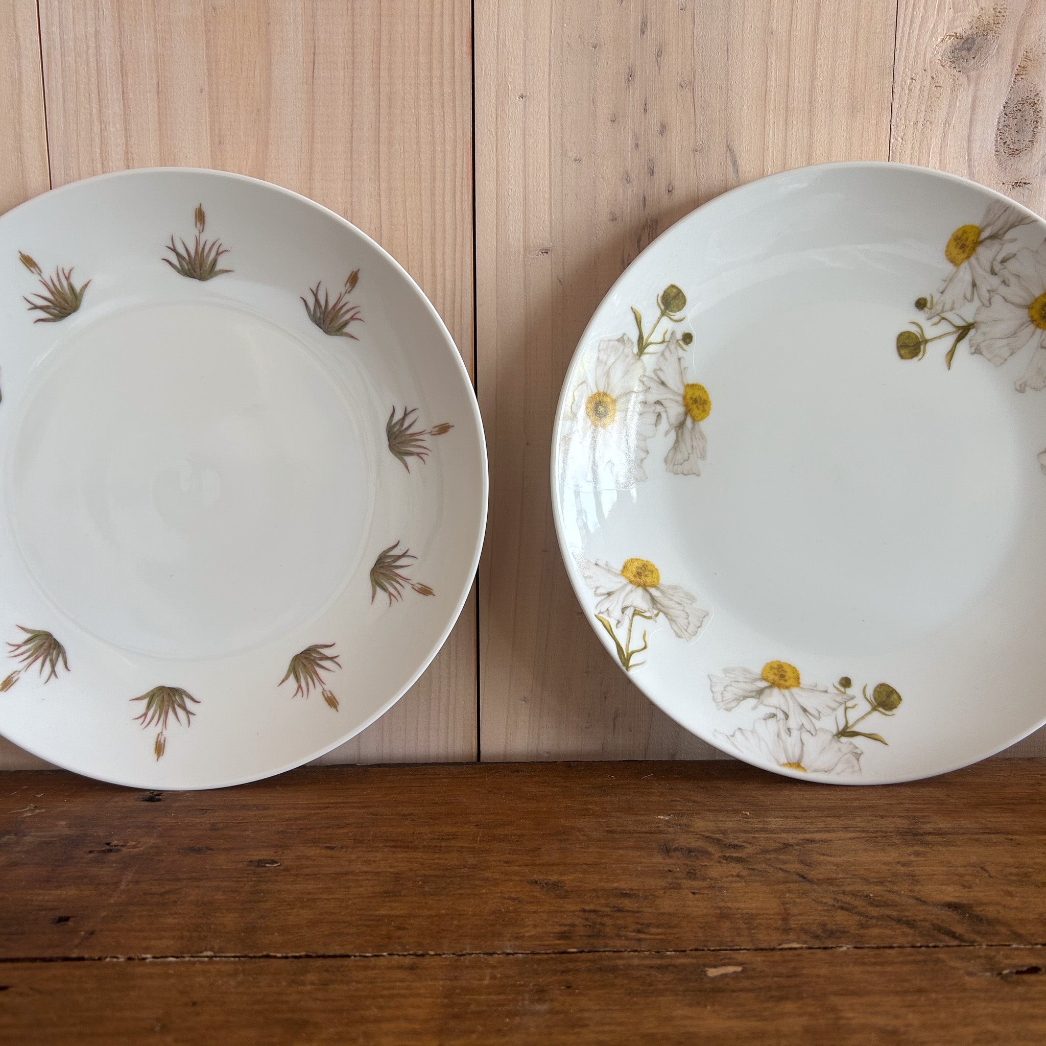 Plato Fondo Romneya 26cm