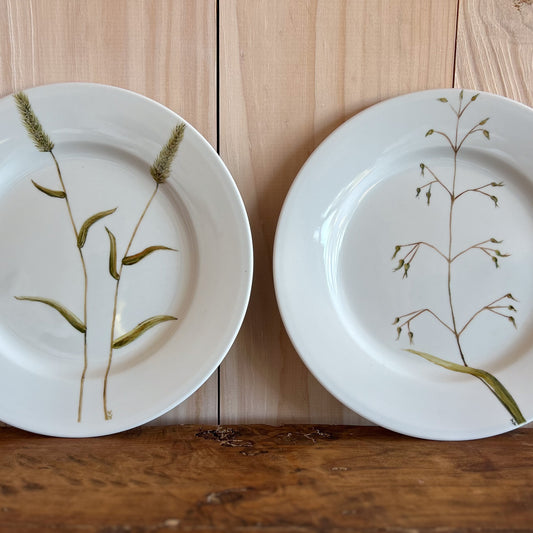 Plato de Fondo Hierbas Pintado a Mano