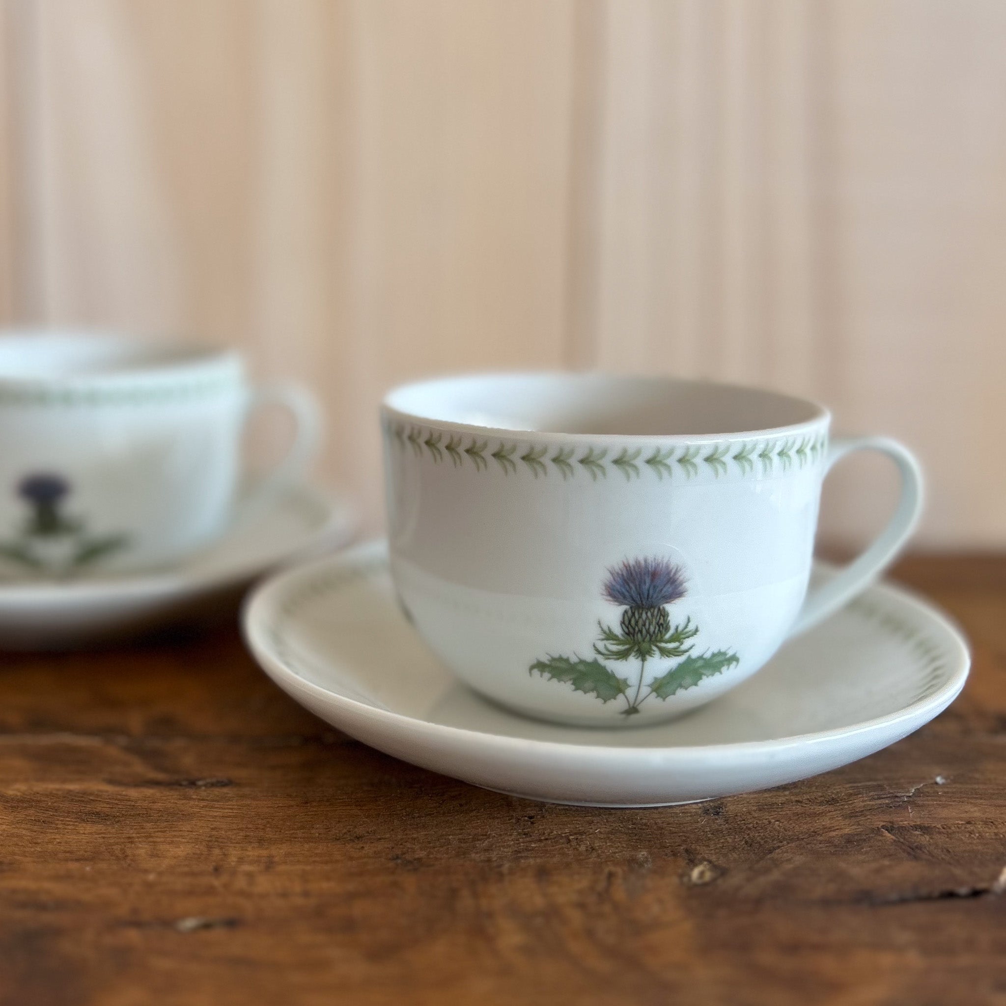 Taza Café Cardo