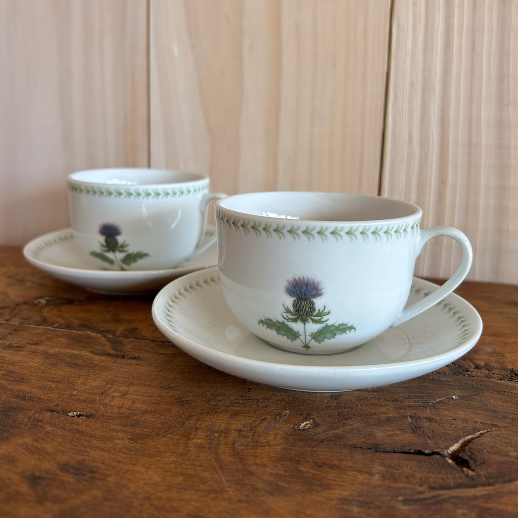 Taza Café Cardo