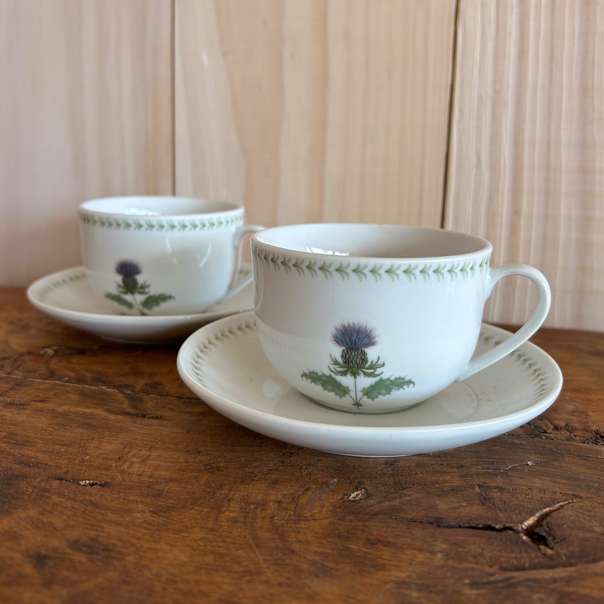 Taza Café Cardo