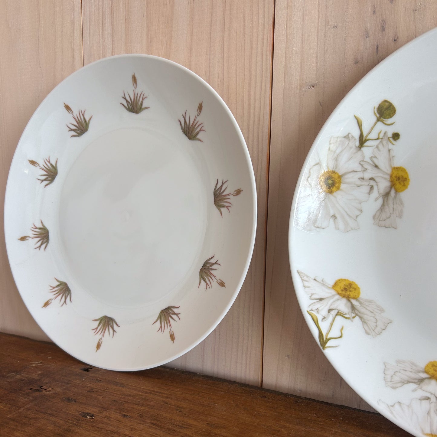 Plato Fondo Aloe Amarillo 26cm