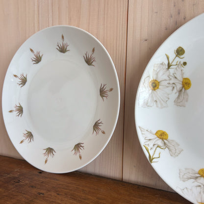 Plato Fondo Aloe Amarillo 26cm