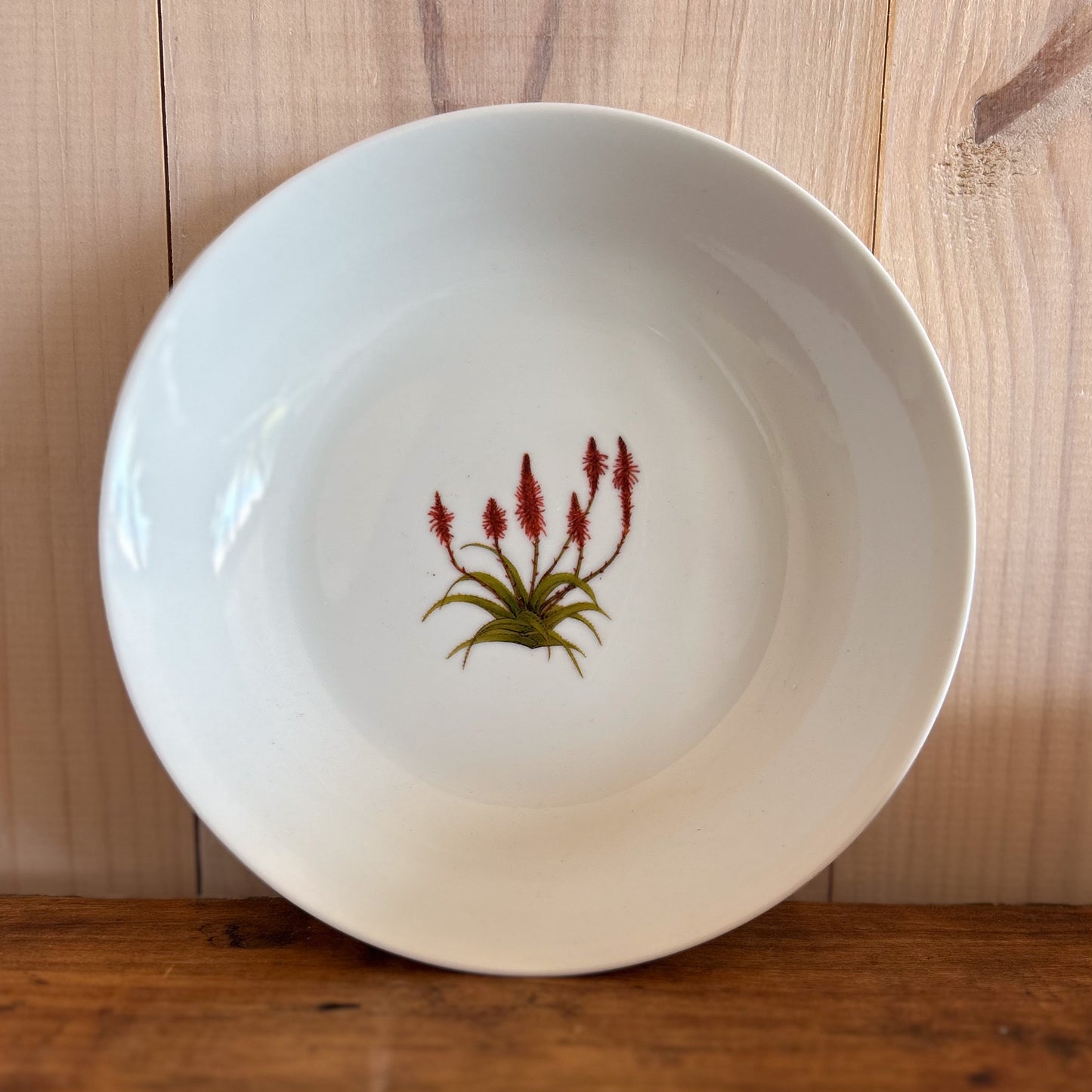 Plato Hondo Aloe Rojo