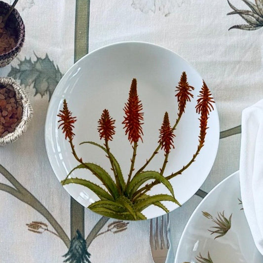 Plato Aloe Rojo