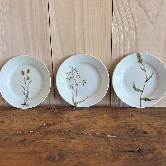 Plato Hierbas Pintado a Mano 20cm