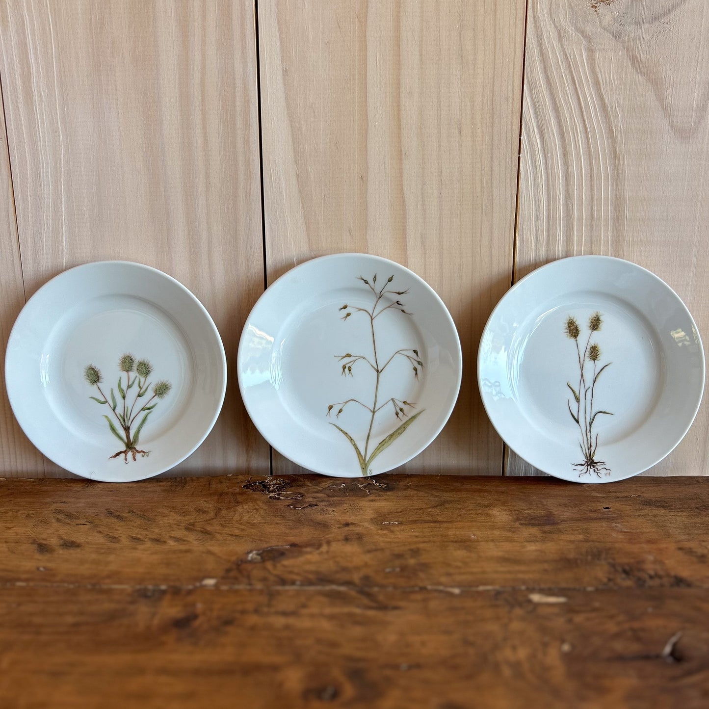 Plato Hierbas Pintado a Mano 15cm