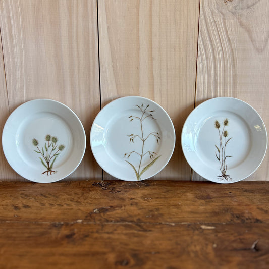 Plato de Torta Hierbas Pintado a Mano