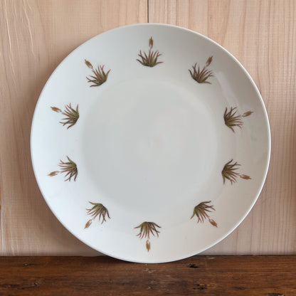 Plato Fondo Aloe Amarillo 26cm