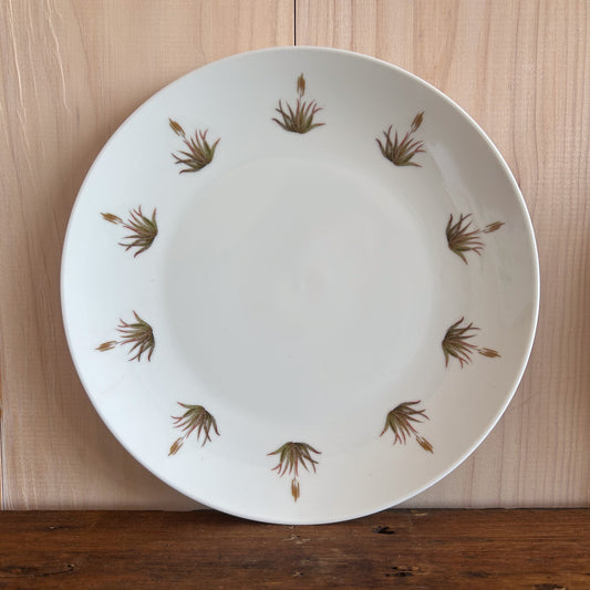 Plato Fondo Aloe Amarillo